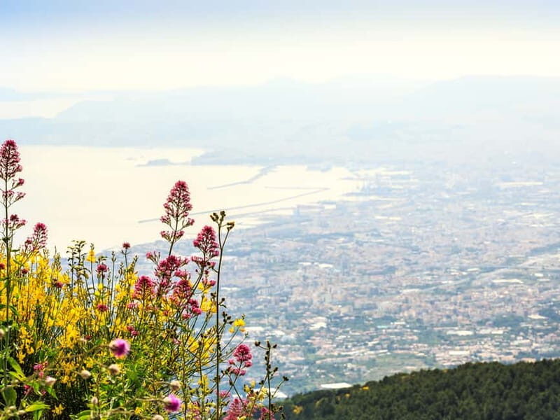 From Pompeii: Mount Vesuvius Hike & Tour by Bus - Key Points