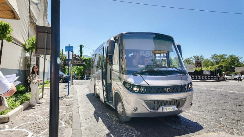 From Pompeii: Mount Vesuvius with bus, ticket and audioguide - Key Points