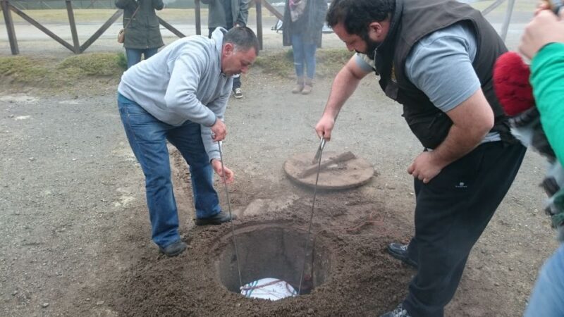 From Ponta Delgada: Furnas Guided Day Trip & 4x4 Adventure - Is This Tour Right for You?