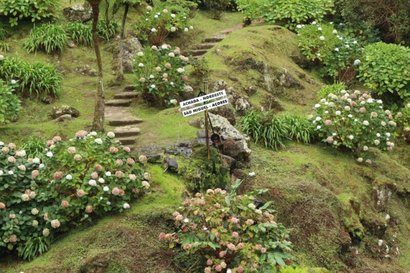 From Ponta Delgada: Nordeste 4x4 Guided Day Trip & Lunch - What’s Included & What’s Not