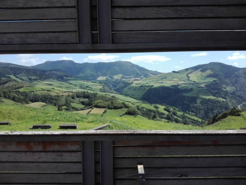 From Ponta Delgada: Nordeste 4x4 Guided Day Trip & Lunch - Who Will Love This Tour?