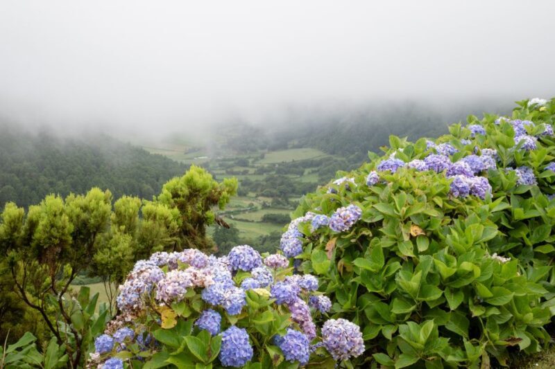 From Ponta Delgada: Vista do Rei to Sete Cidades Guided Trek - What Travelers Say