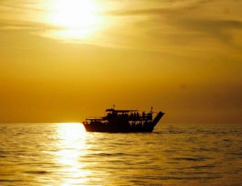 From Pore: Evening Dolphin Cruise with Welcome Drink - Key Points