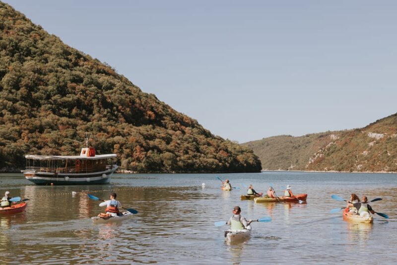 From Pore: Lim Bay Sea Kayaking Day Trip - Who Should Consider This Tour?