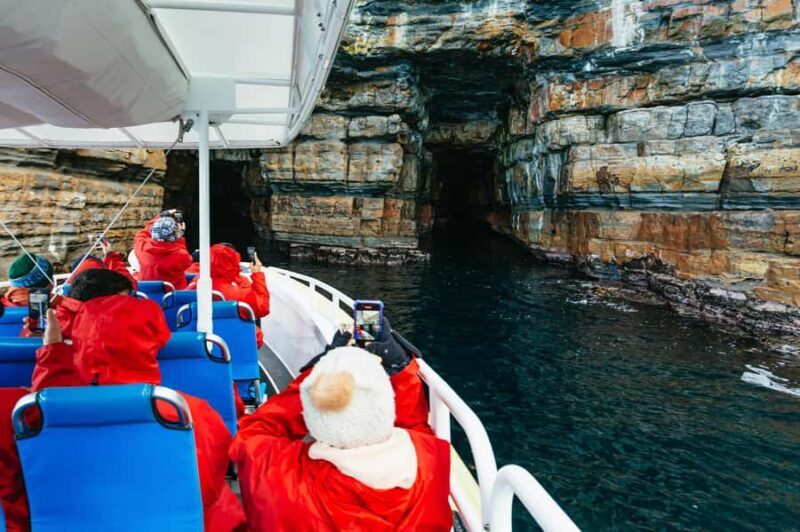 From Port Arthur: Tasman Island Wilderness Cruise - From Port Arthur: Tasman Island Wilderness Cruise — An Honest Look
