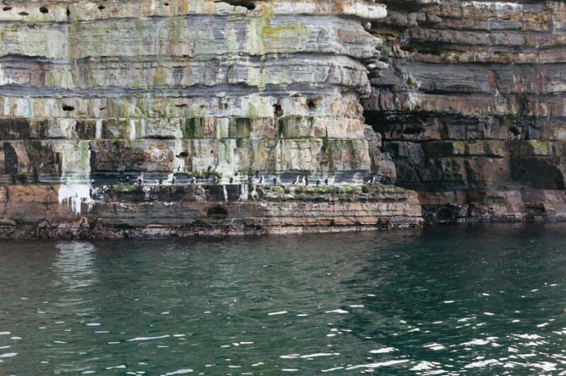 From Port Arthur: Tasman Island Wilderness Cruise - Final thoughts