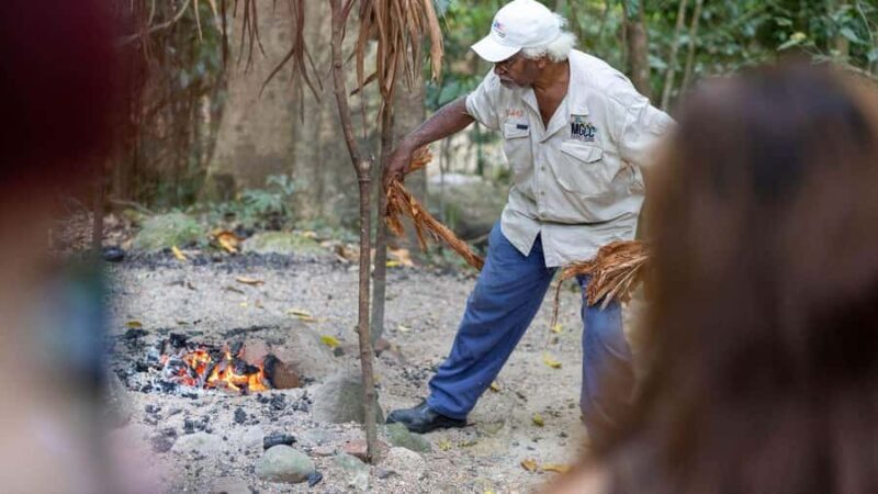 From Port Douglas: Daintree Rainforest & Mossman Gorge Tour - Who Is This Tour For?
