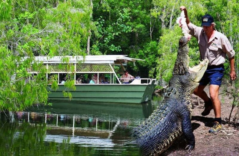 From Port Douglas: Hartley's Crocodile Park, Skyrail & Train - The Practicalities: Transport, Timing, and Accessibility