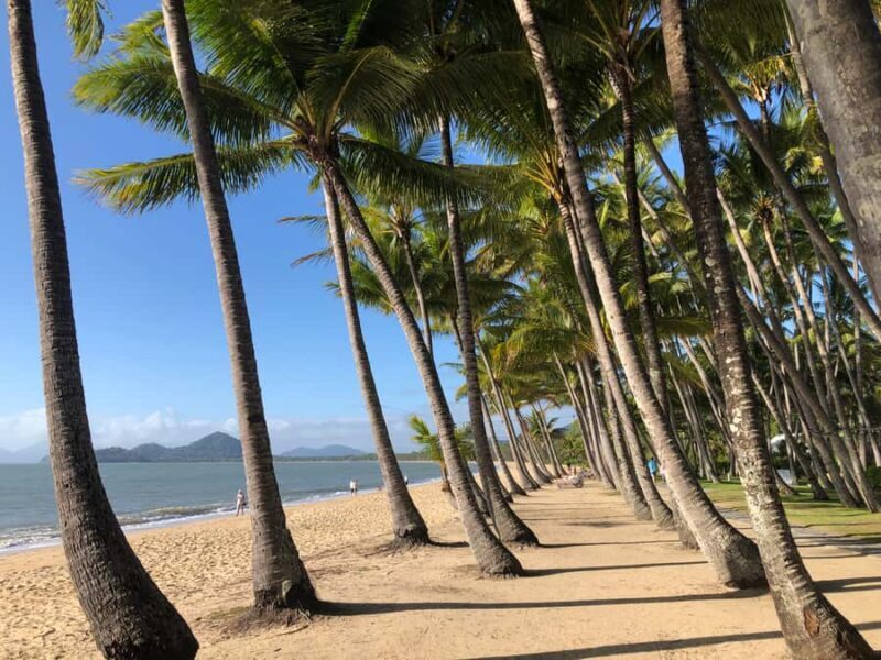 From Port Douglas: Kuranda via Scenic Rail or Skyrail Option - Key Points