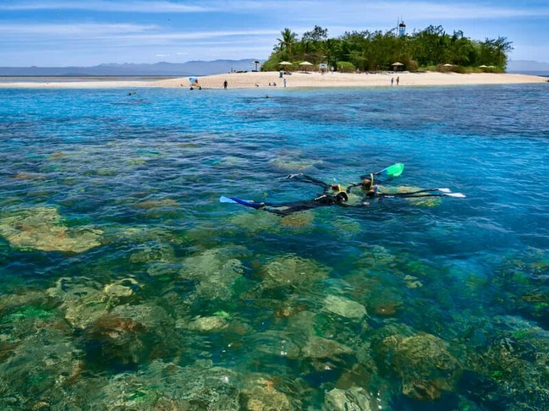 From Port Douglas: Sail to Low Isles Great Barrier Reef - Exploring the Port Douglas: Sail to Low Isles Great Barrier Reef Experience