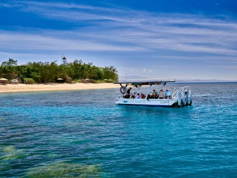 From Port Douglas: Sail to Low Isles Great Barrier Reef - What Makes This Tour Stand Out