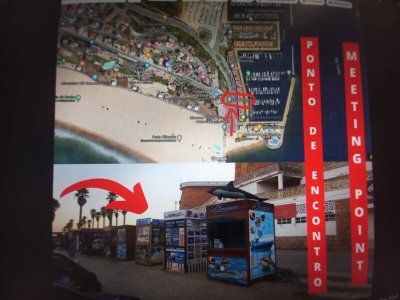 From Portimão: Algar de Benagil and Sea Caves Boat Tour - The Experience in Detail