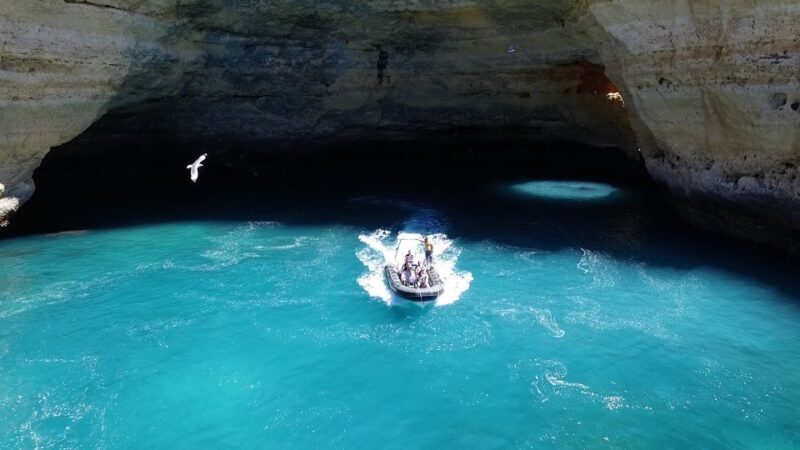 From Portimao: Benagil Cave and Marinha Beach Boat Tour - What to Expect from the Boat Tour