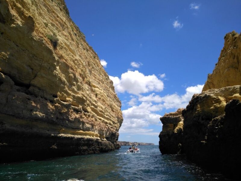 From Portimão: Benagil Caves & Marinha Beach Boat Tour - Who This Tour Is Best For
