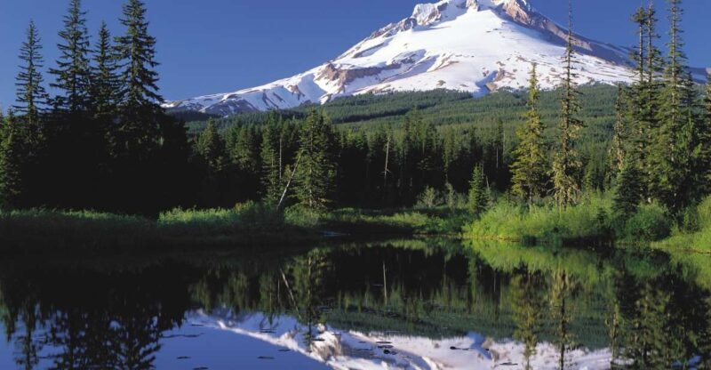 From Portland: Columbia Gorge Waterfalls and Mt. Hood Tour - What Really Makes This Tour Stand Out