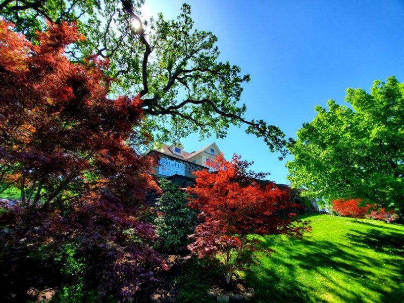 From Portland: Full Day Gorge Waterfalls & Mt. Hood Tour - Final Thoughts