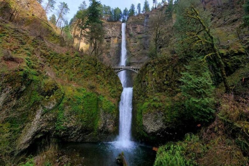 From Portland: Half-Day Columbia River Gorge Waterfalls Tour - Key Points