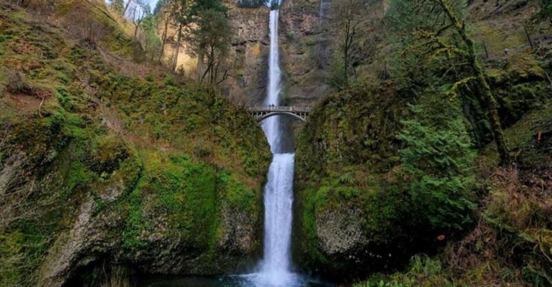 From Portland: Half-Day Columbia River Gorge Waterfalls Tour - Final Thoughts