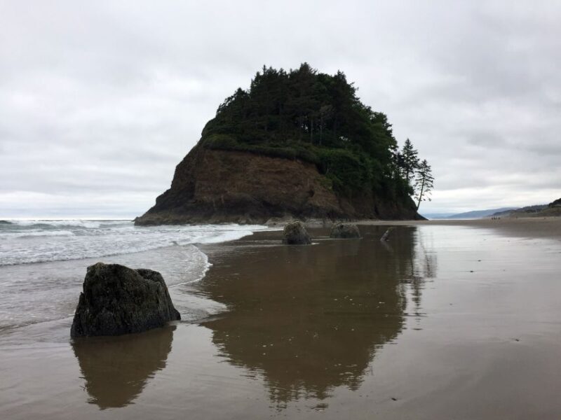 From Portland: Oregon Coast Day Trip to Three Capes Loop - Final Thoughts