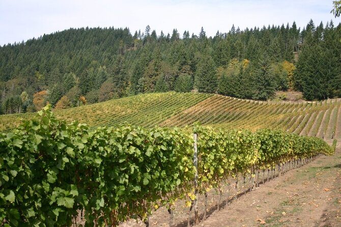 From Portland Private Willamette Valley Wine Tour - Who Is This Tour Best For?