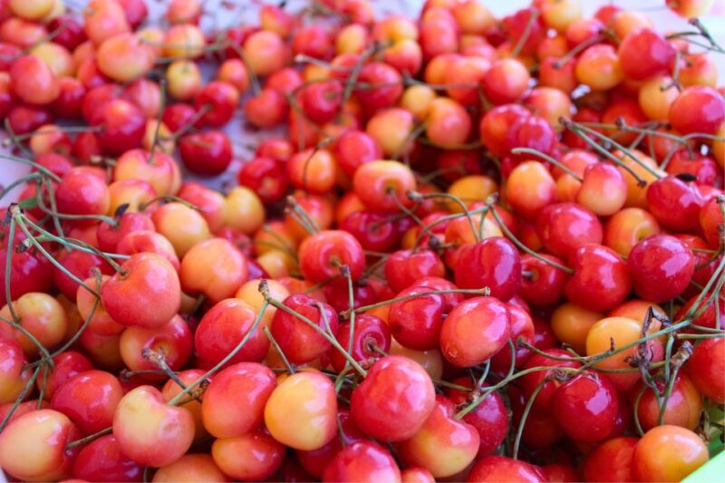 From Portland: Waterfalls, Mt Hood, and Wine Day Tour - Final Thoughts