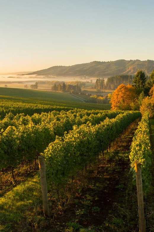 From Portland: Willamette Valley Wine Tasting Tour - FAQ