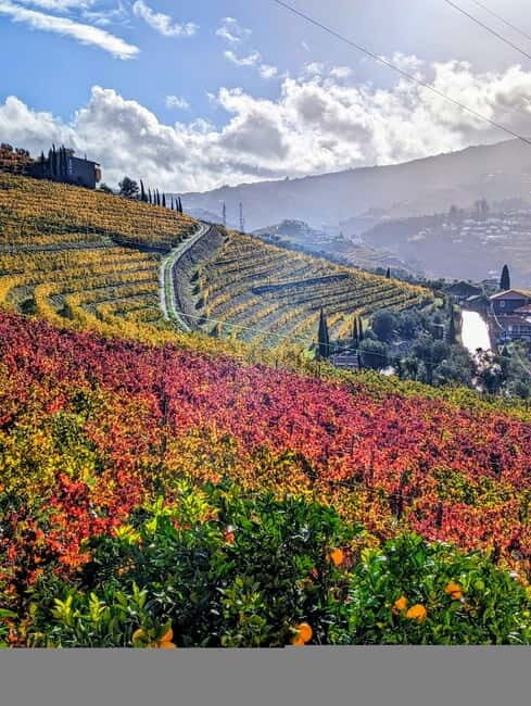 From Porto: 2 Wine Regions, Farm-to-Table Lunch & Boat - Authentic Experiences and Honest Opinions