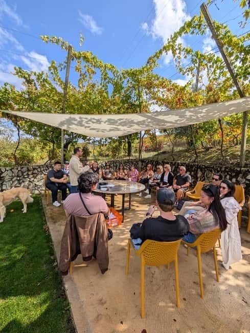 From Porto: 2 Wine Regions, Farm-to-Table Lunch & Boat - Guides, WSET Certification, and Why People Keep Mentioning Their Names