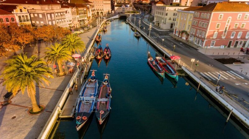 From Porto: Aveiro and Coimbra Private Tour - Starting from Porto: A Comfortable Journey