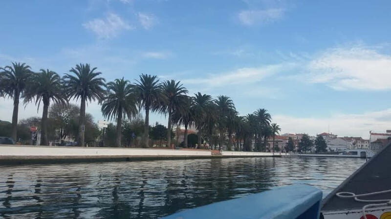 From Porto: Aveiro & Coimbra Tour with Moliceiro Boat Cruise - Authentic Traveler Insights