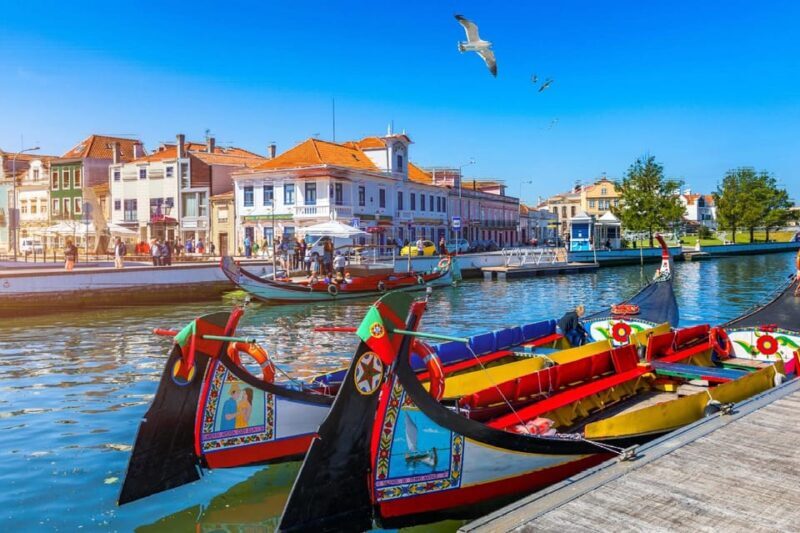 From Porto: Aveiro Half Day Tour - Price and Value