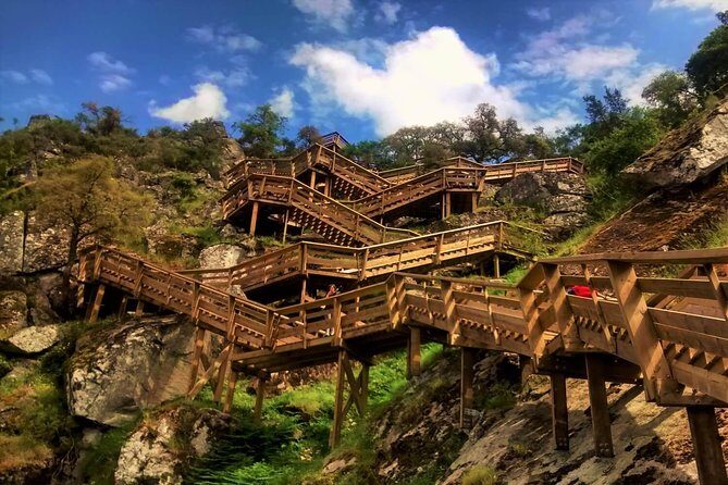 From Porto: Aveiro, Paiva Walkways, Suspension Bridge and Lunch - Key Points