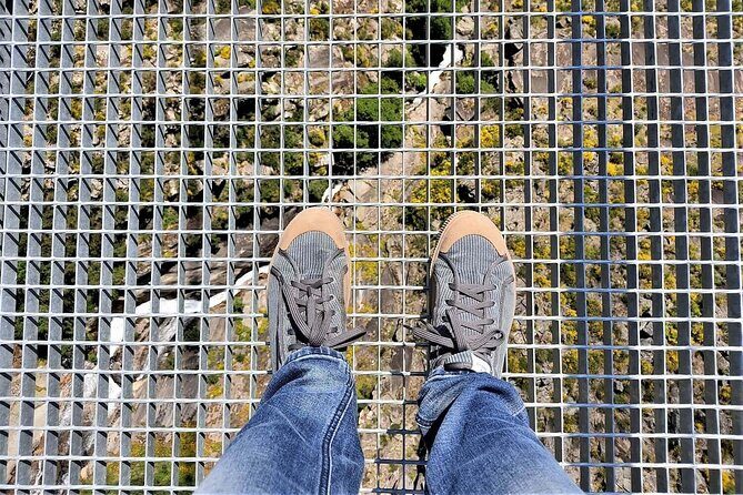 From Porto: Aveiro, Paiva Walkways, Suspension Bridge and Lunch - The Itinerary — What to Expect