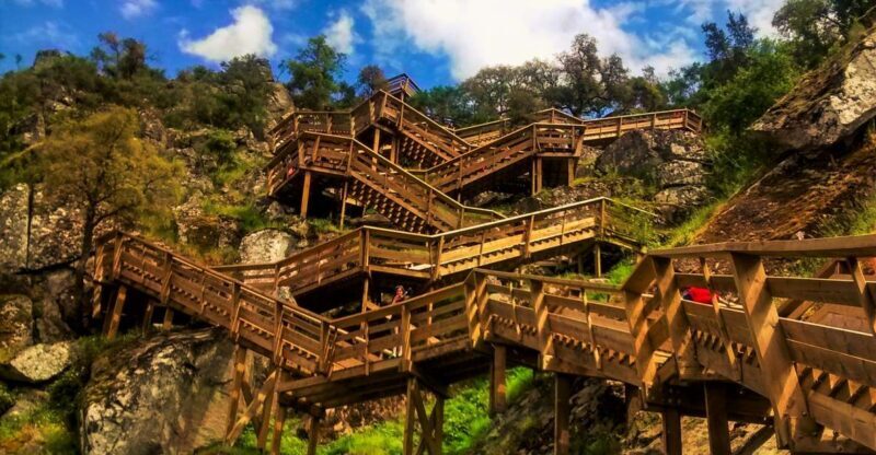 From Porto: Aveiro, Paiva Walkways, & Suspension Bridge Tour - Pricing and Value