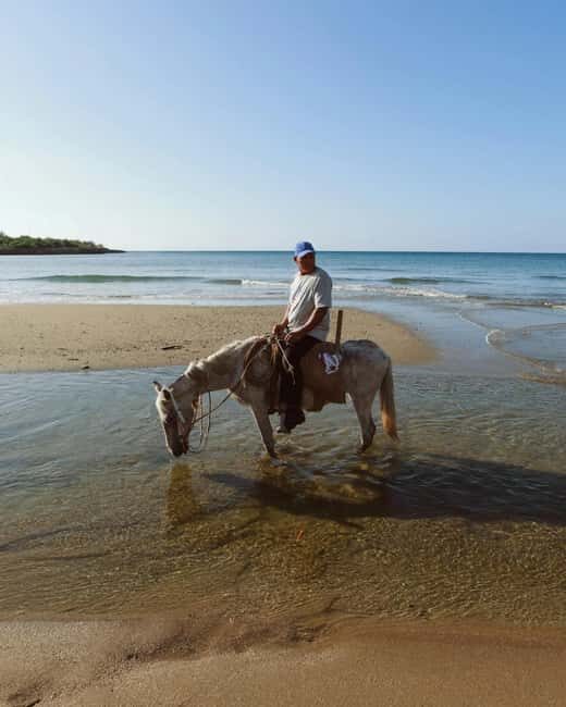 From Porto: Beach Horse Ride + Hotel Transfer - What’s Included and How It Works