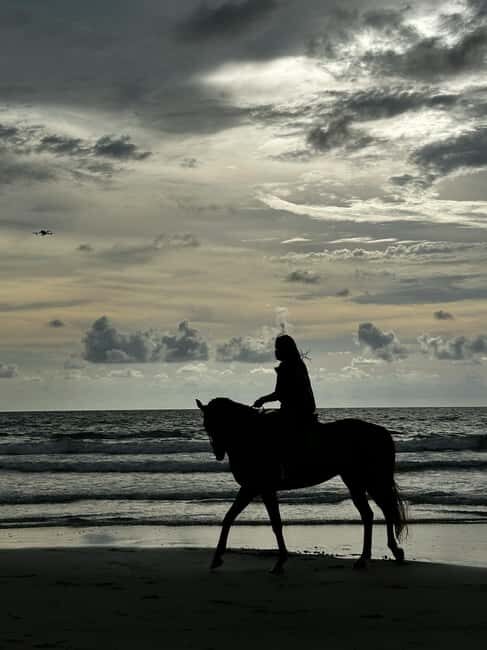 From Porto: Beach Horseback Ride + Brunch + Pickup - The Ride: Forest Trails and Sandy Beaches