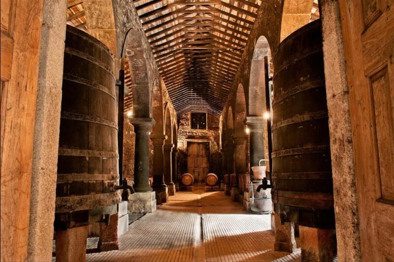 From Porto: Brejoeira Palace Visit, Tasting, and Lunch - What We Like and What to Keep in Mind