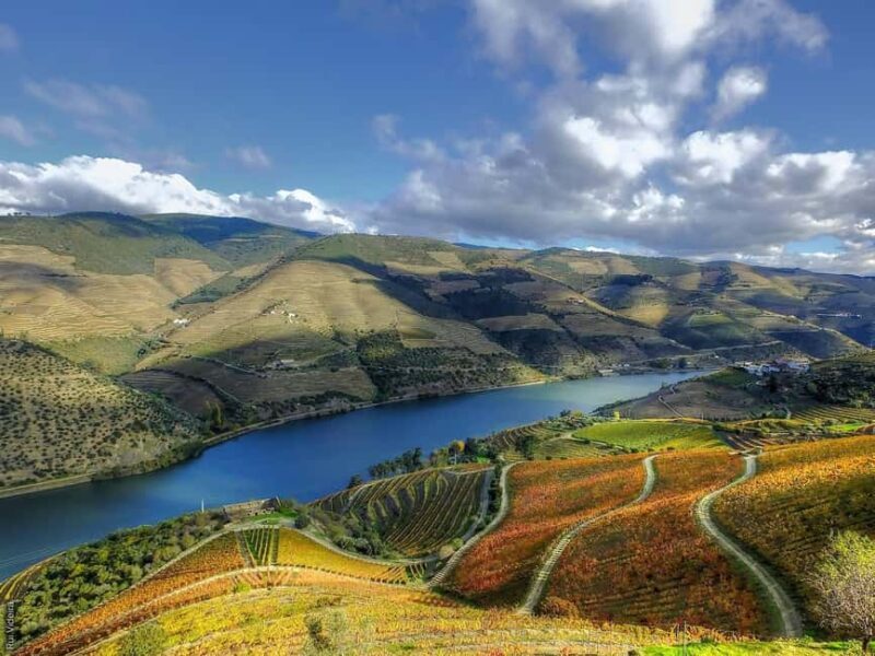 From Porto: Douro Valley - half a day on a wine experience - Is This Tour Worth It?