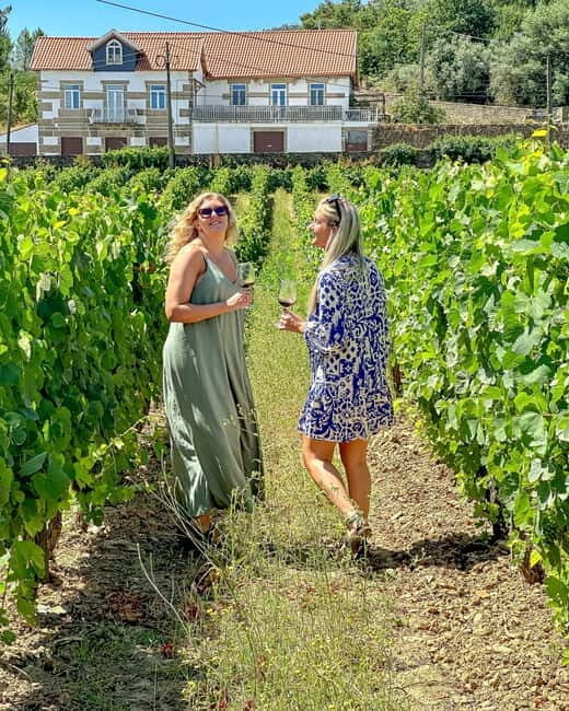 From Porto: Douro Valley Private Tour w/ 3 Wineries & Lunch - Key Points