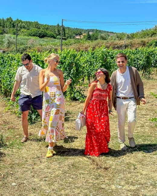 From Porto: Douro Valley Private Tour w/ 3 Wineries & Lunch - A Deep Dive into the Douro Valley Private Tour