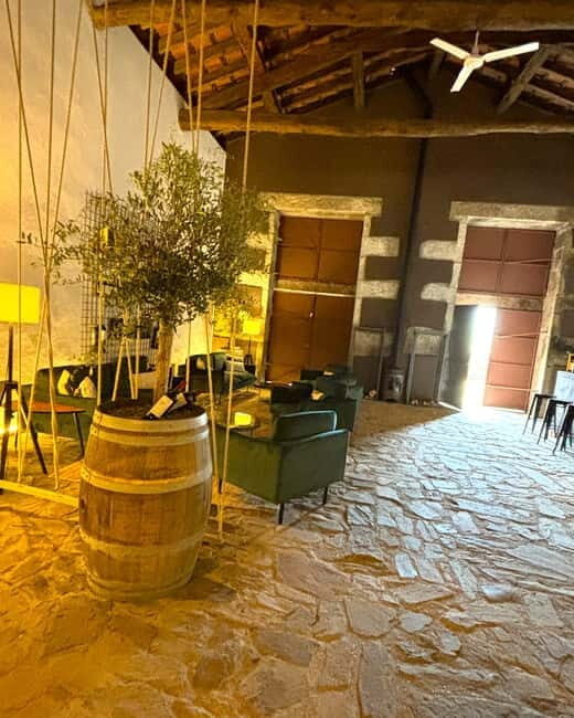 From Porto: Douro Valley Private Tour w/ 3 Wineries & Lunch - Final Thoughts