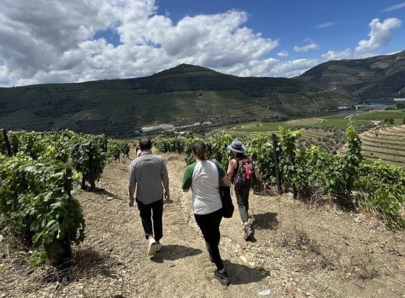 From Porto : Douro Valley sightseeing with 1 Winery Visit - Final Thoughts — Who Should Consider This Tour?
