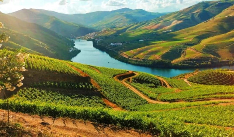 From Porto: Douro Valley Tour - Pinhão: The Heart of the Douro Valley