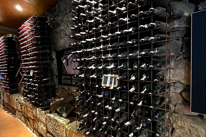 From Porto: Douro Valley Tour with 2 Wineries, Lunch and Cruise - The Downsides: What to Keep in Mind