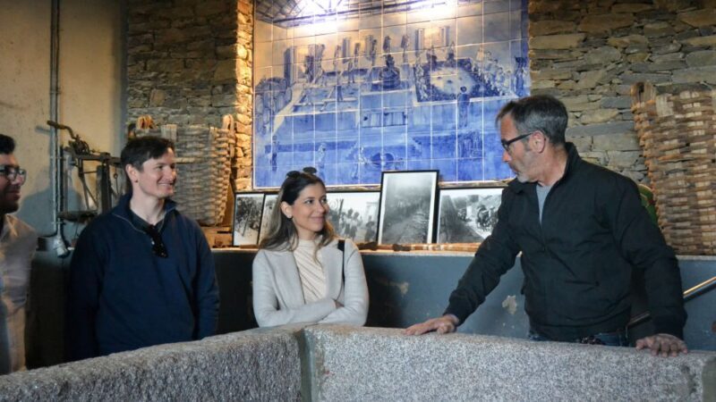 From Porto: Douro Valley Tour with Tastings, Boat & Lunch - Who Is This Tour Best For?