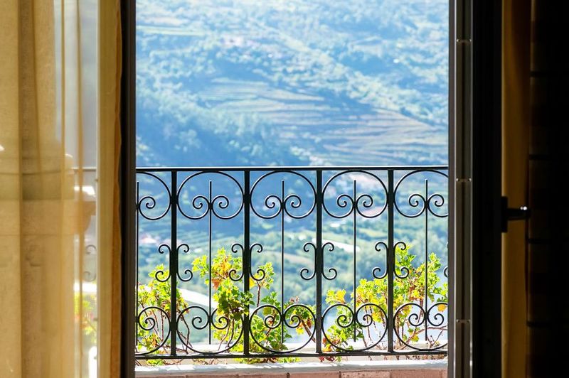 From Porto: Douro Valley w/ Boat Tour, Wine Tasting & Lunch - Pure Olive Oil Tasting: The Small Add-On People Remember