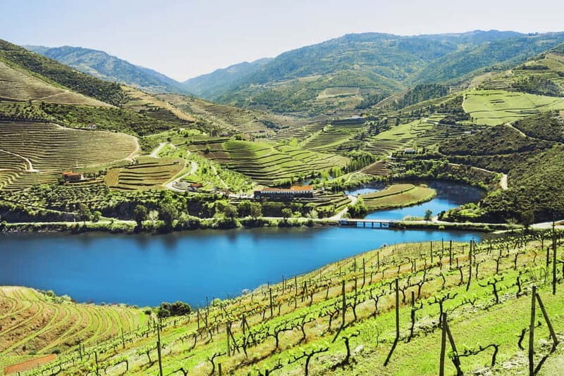 From Porto: Douro Valley Wine Tour with Lunch & River Cruise - Key Points