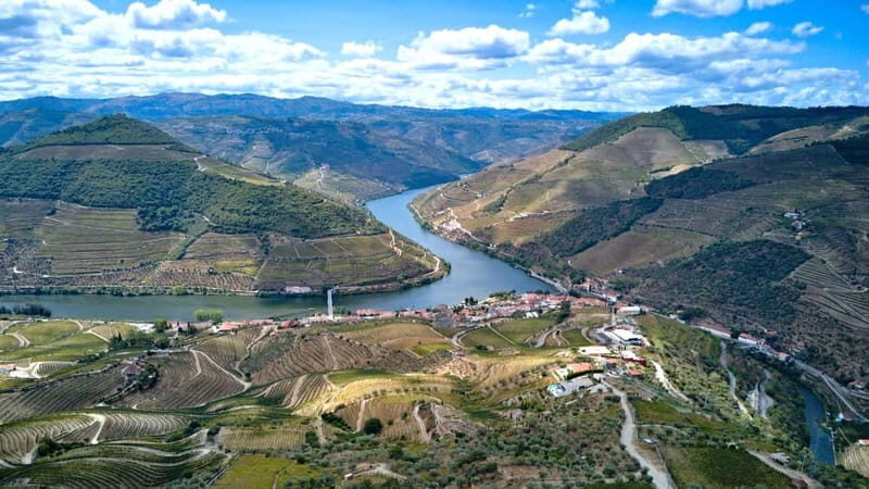 From Porto: Douro Valley Wine Tour with Lunch & River Cruise - Final Winery Visit & Return