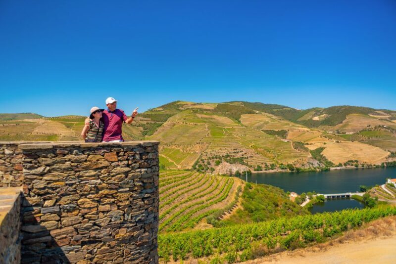 From Porto: Douro Valley Wine Tour with Lunch & River Cruise - Who’s This Tour Best For?
