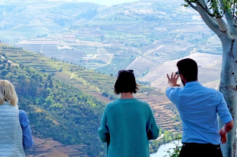 From Porto: Douro Valley Wine Tour with River Cruise & Lunch - What Travelers Say